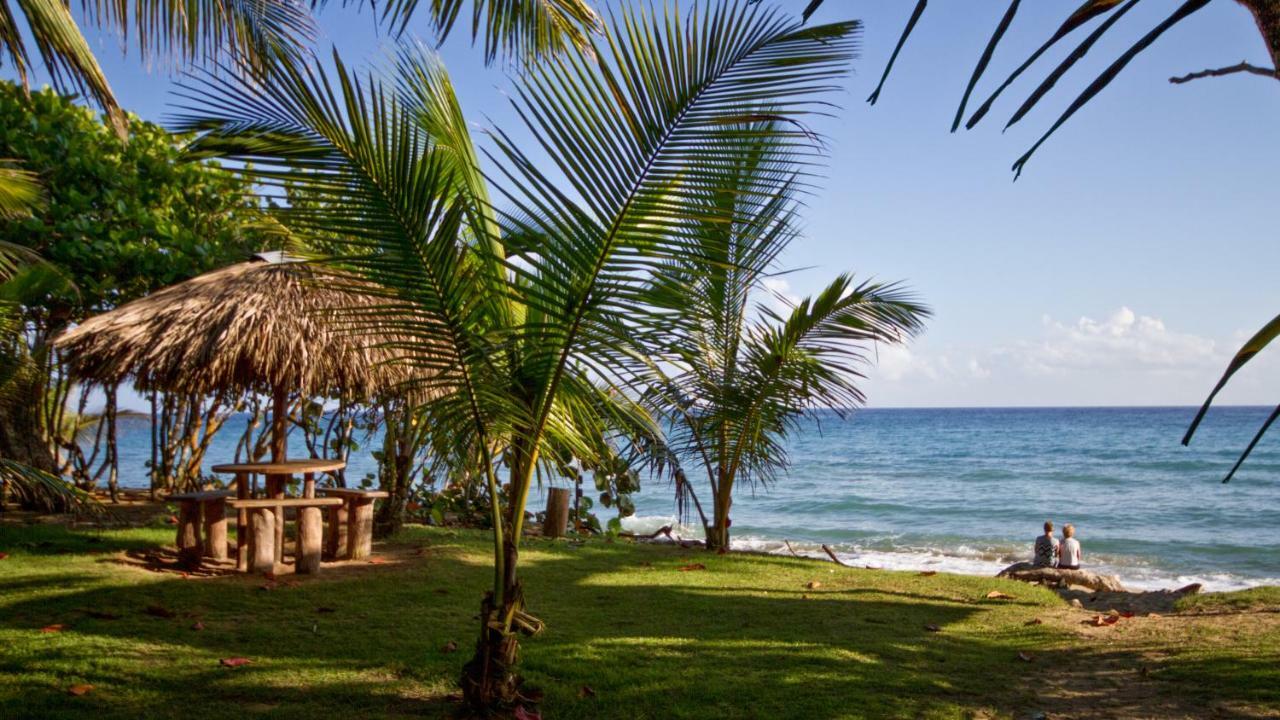 Natura Cabana Boutique Hotel & Spa By Mint Cabarete Luaran gambar